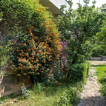 Villa Costanza *