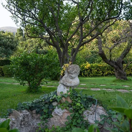 Costanza * מונדלו